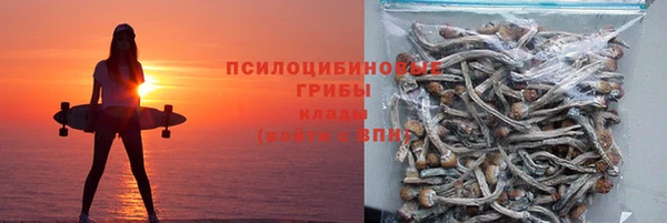 МДПВ Нея