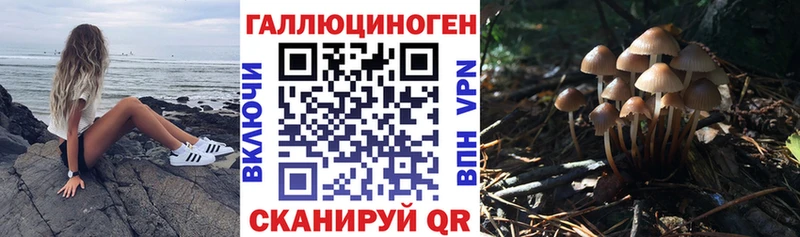 Галлюциногенные грибы Magic Shrooms  закладка  Аксай 