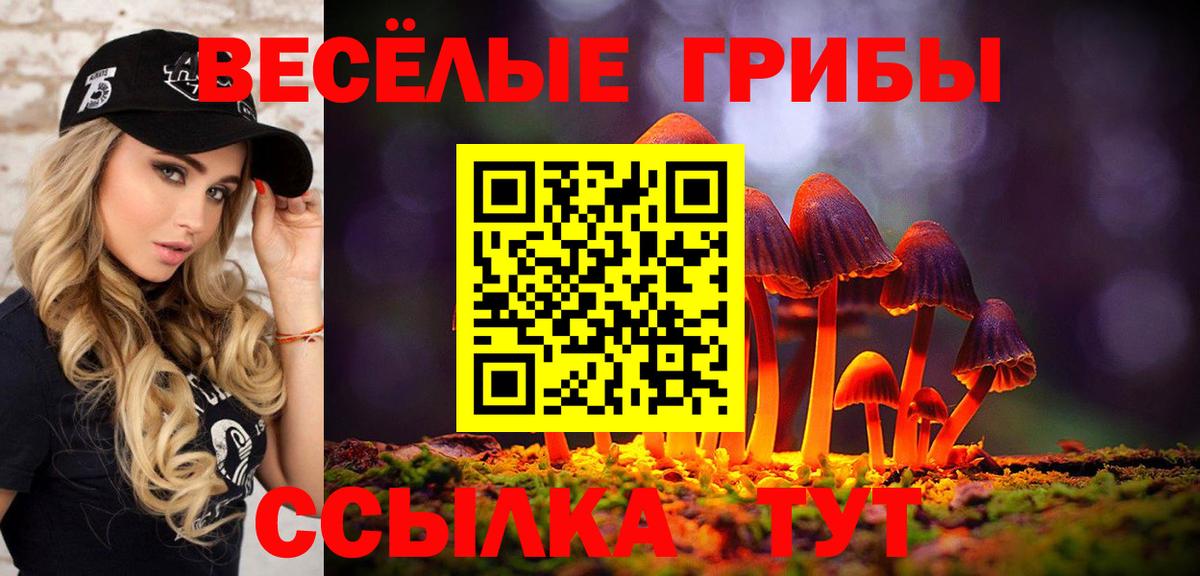 Псилоцибиновые грибы GOLDEN TEACHER Аксай