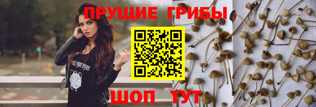 Меф   Гашиш  Аксай  Бошки Шишки  КОКАИН  Вход с VPN  ГАШИШ  А ПВП СОЛЬ кристаллы 